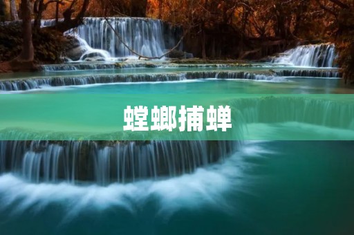 螳螂捕蝉:自然界中的智慧杰作