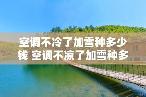 空调不冷了加雪种多少钱 空调不凉了加雪种多少钱