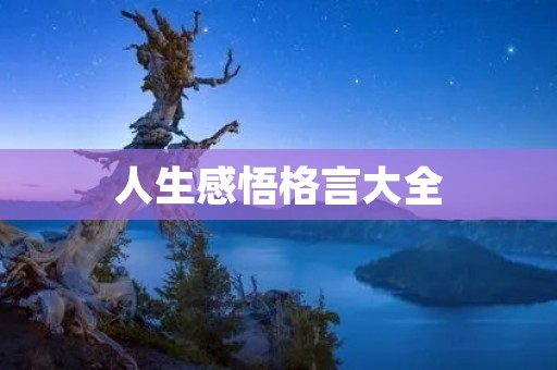 人生感悟格言大全:探寻人生中的智慧与力量