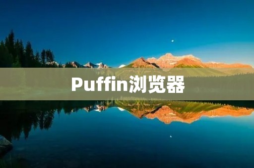 Puffin浏览器：让你的网络冲浪更快更安全