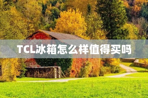 TCL冰箱怎么样值得买吗:全面解析 TCL冰箱怎么样值得买吗:全面解析