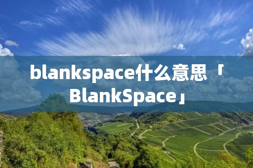 blankspace什么意思「BlankSpace」