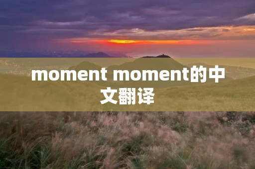 moment moment的中文翻译