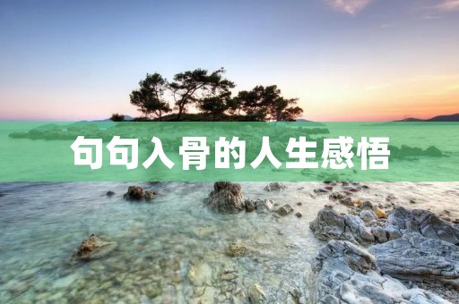 句句入骨的人生感悟:如何用语言让生命更有意义
