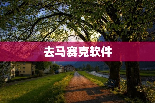 去马赛克软件:让你的照片变得更清晰 去马赛克软件:让你的照片变得更清晰