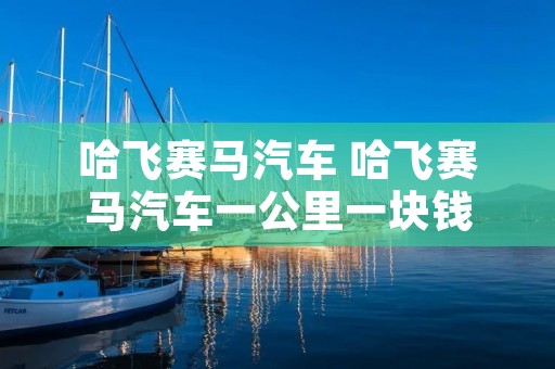 哈飞赛马汽车 哈飞赛马汽车一公里一块钱