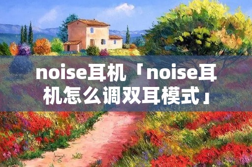 noise耳机「noise耳机怎么调双耳模式」