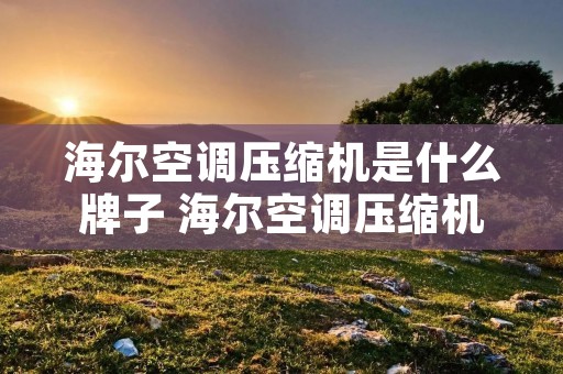海尔空调压缩机是什么牌子 海尔空调压缩机是什么牌子百度百科 海尔空调压缩机是什么牌子 海尔空调压缩机是什么牌子百度百科