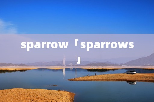 sparrow「sparrows」