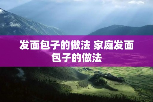 发面包子的做法 家庭发面包子的做法