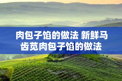 肉包子馅的做法 新鲜马齿苋肉包子馅的做法