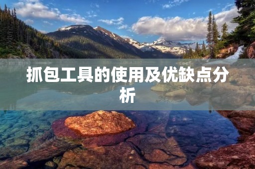 抓包工具的使用及优缺点分析