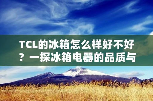 TCL的冰箱怎么样好不好？一探冰箱电器的品质与性能