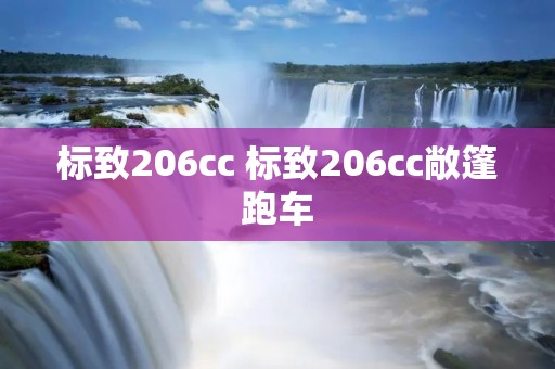 标致206cc 标致206cc敞篷跑车