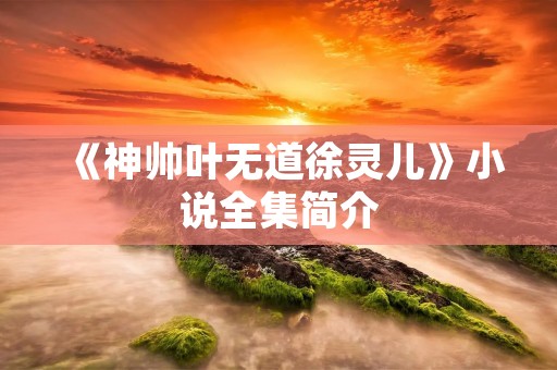 《神帅叶无道徐灵儿》小说全集简介