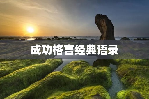 成功格言经典语录:激励你成为更好的自己