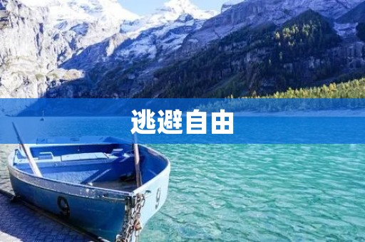 逃避自由：探索内心的深层追寻