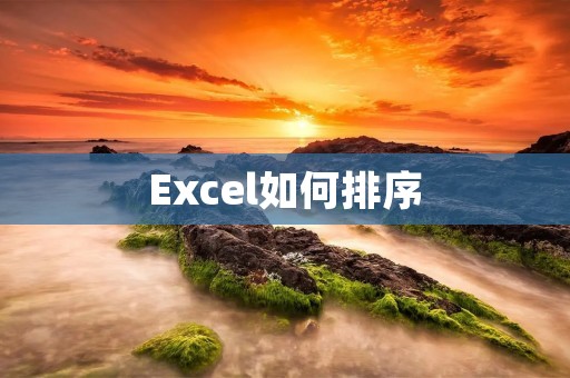 Excel如何排序