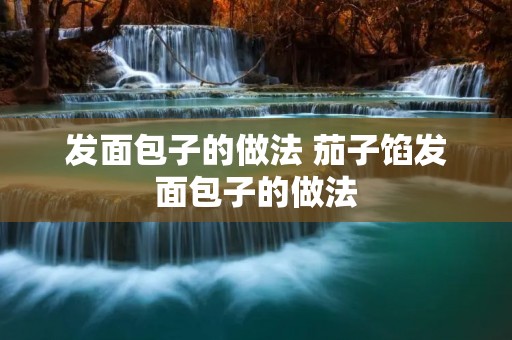 发面包子的做法 茄子馅发面包子的做法