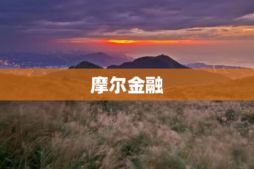 摩尔金融:引领金融科技创新的先锋 摩尔金融:引领金融科技创新的先锋