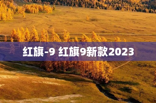 红旗-9 红旗9新款2023 红旗-9 红旗9新款2023