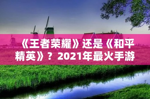 《王者荣耀》还是《和平精英》？2021年最火手游排行榜出炉！
