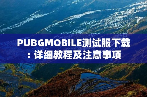 PUBGMOBILE测试服下载: 详细教程及注意事项