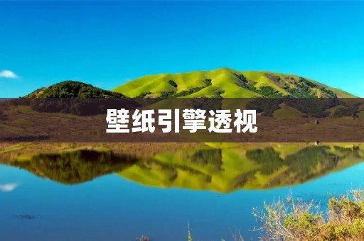 壁纸引擎透视：让你的桌面更加生动多彩