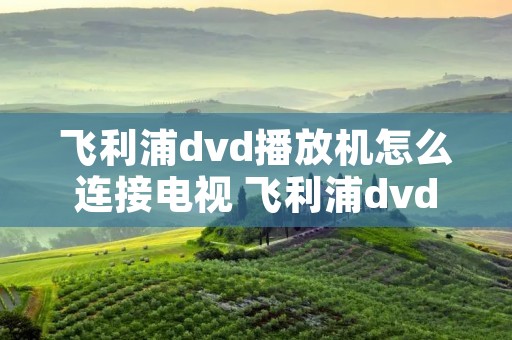 飞利浦dvd播放机怎么连接电视 飞利浦dvd接口怎么接线