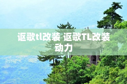 讴歌tl改装 讴歌TL改装动力