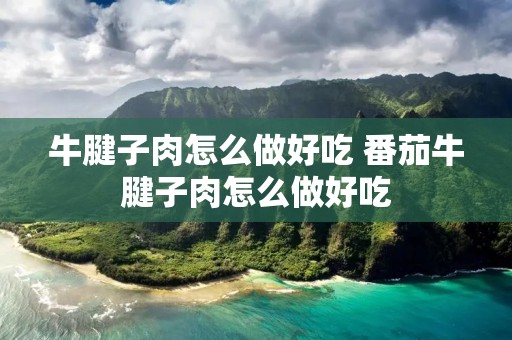 牛腱子肉怎么做好吃 番茄牛腱子肉怎么做好吃