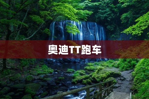 奥迪TT跑车：豪华与性能的完美结合