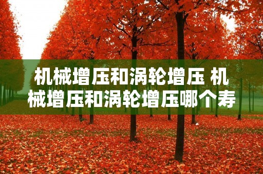 机械增压和涡轮增压 机械增压和涡轮增压哪个寿命长 机械增压和涡轮增压 机械增压和涡轮增压哪个寿命长