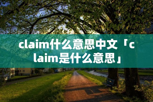 claim什么意思中文「claim是什么意思」