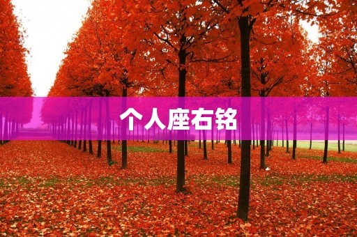个人座右铭：简洁至上，因为简单才美好