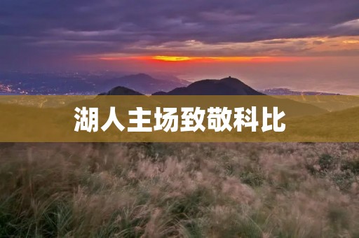 湖人主场致敬科比：永恒的黑曼巴传奇