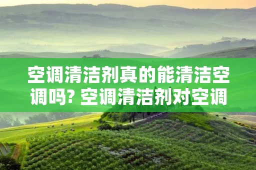 空调清洁剂真的能清洁空调吗? 空调清洁剂对空调有伤害吗