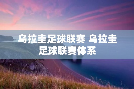 乌拉圭足球联赛 乌拉圭足球联赛体系 乌拉圭足球联赛 乌拉圭足球联赛体系