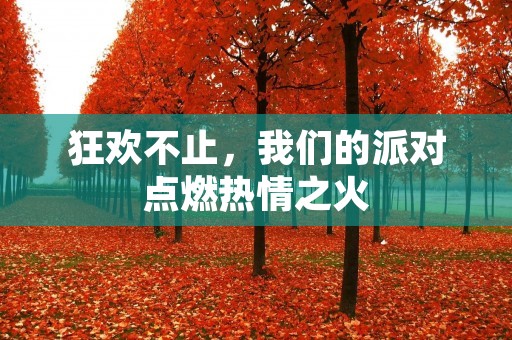 狂欢不止,我们的派对点燃热情之火 狂欢不止,我们的派对点燃热情之火