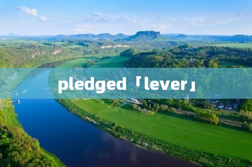 pledged「lever」