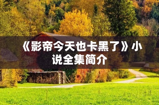 《影帝今天也卡黑了》小说全集简介