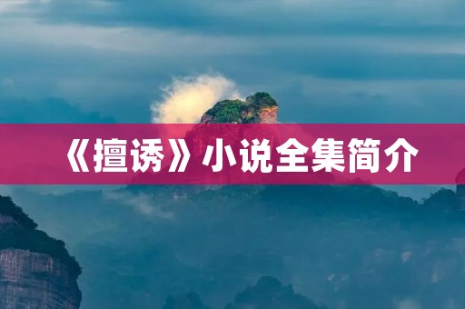 《擅诱》小说全集简介