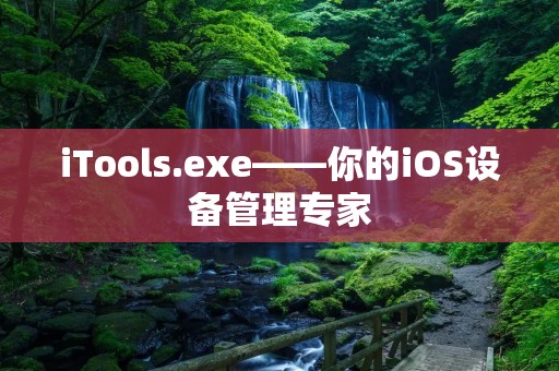 iTools.exe——你的iOS设备管理专家