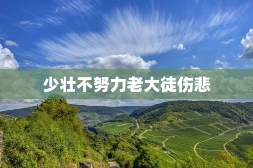少壮不努力老大徒伤悲:如何在年轻时努力奋斗,避免悔恨一生