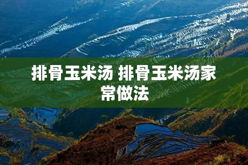 排骨玉米汤 排骨玉米汤家常做法