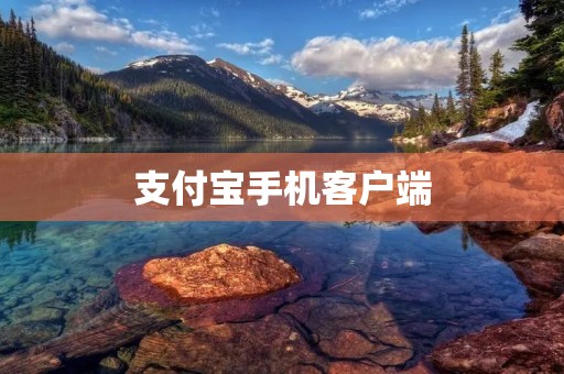 支付宝手机客户端：移动支付的领先者