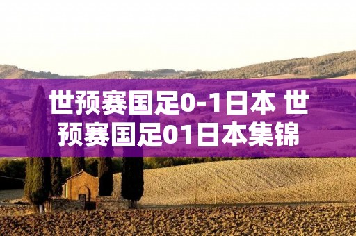 世预赛国足0-1日本 世预赛国足01日本集锦