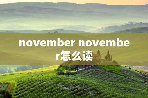 november november怎么读