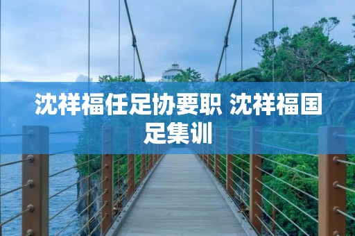 沈祥福任足协要职 沈祥福国足集训 沈祥福任足协要职 沈祥福国足集训