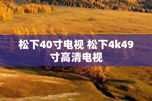 松下40寸电视 松下4k49寸高清电视
